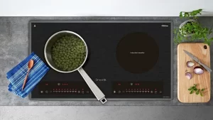 Bếp từ đôi D'mestik ML255 DKI