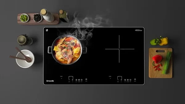 Bếp từ đôi D'mestik AM-D203